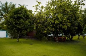 Damnak Borey Resort in Kampot